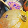 pumpkincloseup